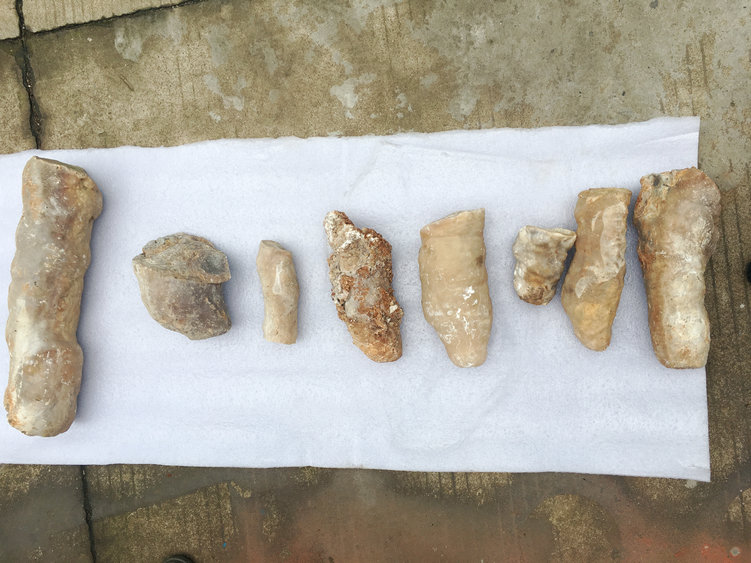 石筍，鐘乳石，方解石