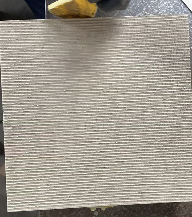 未燒結(jié)陶瓷切樣圖